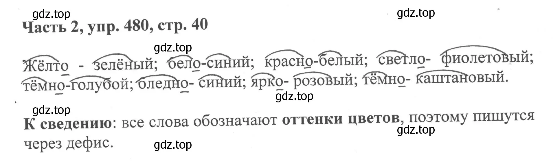 Решение номер 480 (страница 40) гдз по русскому языку 6 класс Баранов, Ладыженская, учебник 2 часть