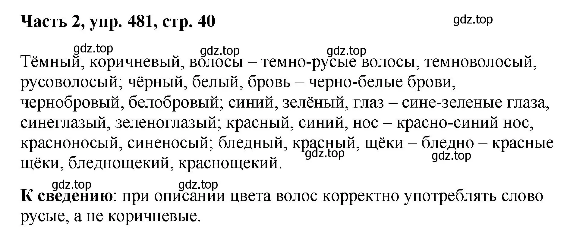 Решение номер 481 (страница 40) гдз по русскому языку 6 класс Баранов, Ладыженская, учебник 2 часть