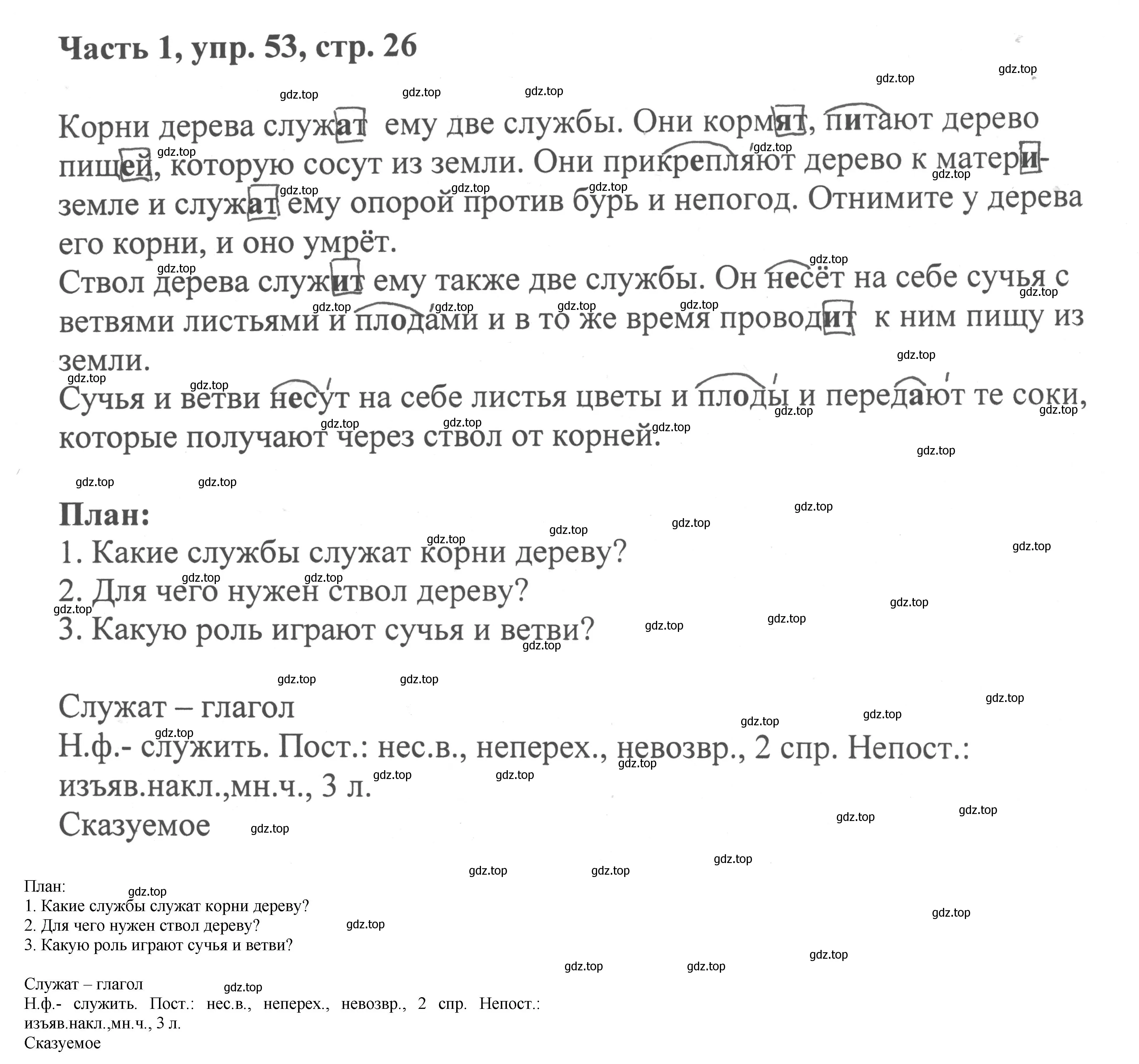 Решение номер 53 (страница 26) гдз по русскому языку 6 класс Баранов, Ладыженская, учебник 1 часть