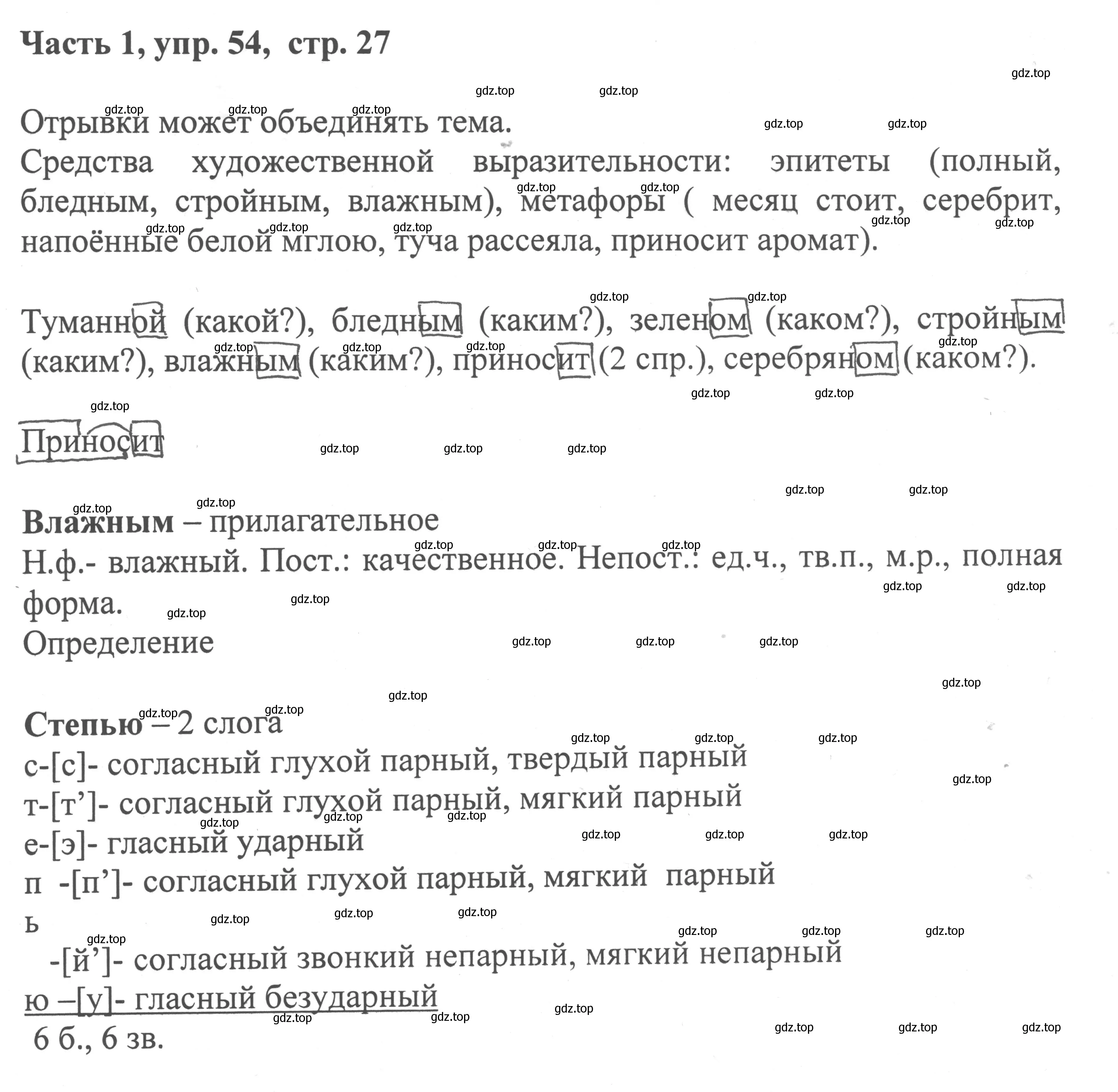 Решение номер 54 (страница 27) гдз по русскому языку 6 класс Баранов, Ладыженская, учебник 1 часть