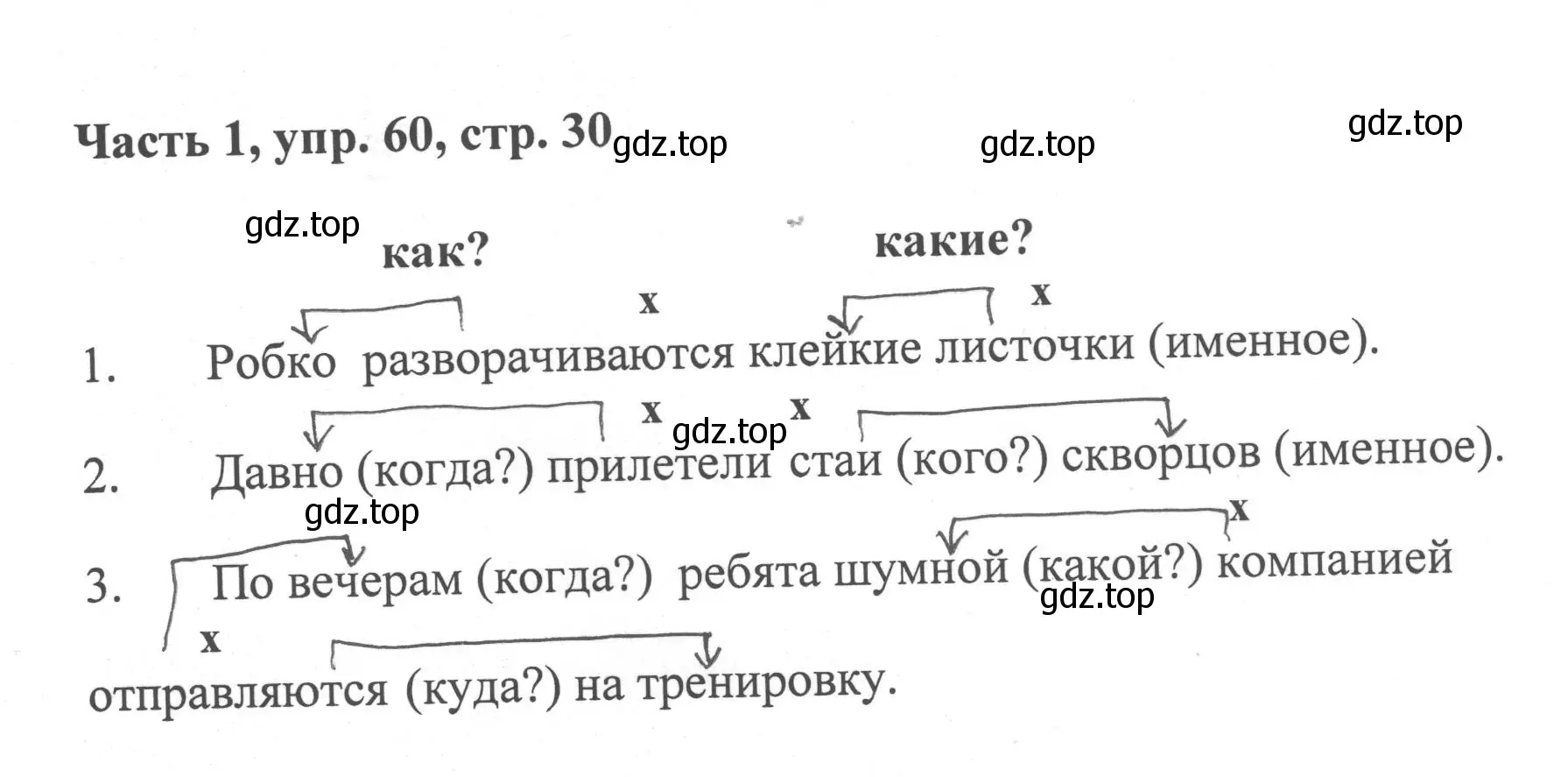 Решение номер 60 (страница 30) гдз по русскому языку 6 класс Баранов, Ладыженская, учебник 1 часть