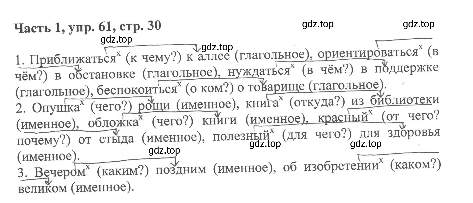 Решение номер 61 (страница 30) гдз по русскому языку 6 класс Баранов, Ладыженская, учебник 1 часть