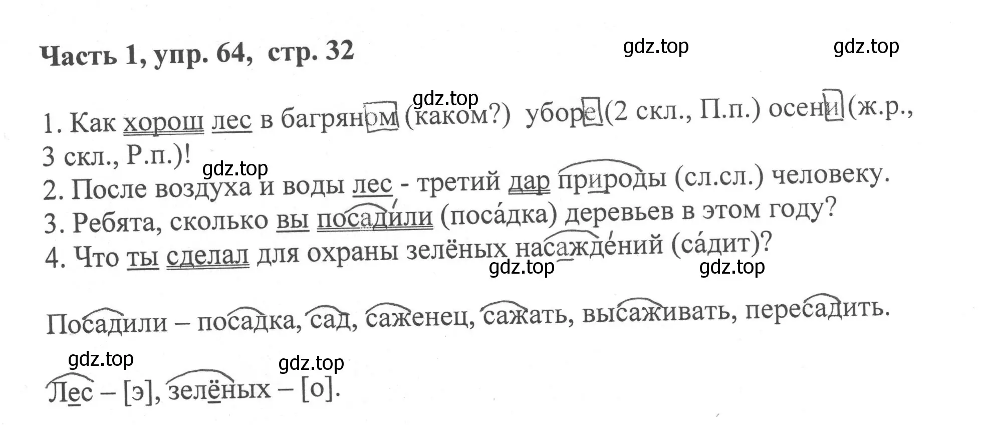 Решение номер 64 (страница 32) гдз по русскому языку 6 класс Баранов, Ладыженская, учебник 1 часть