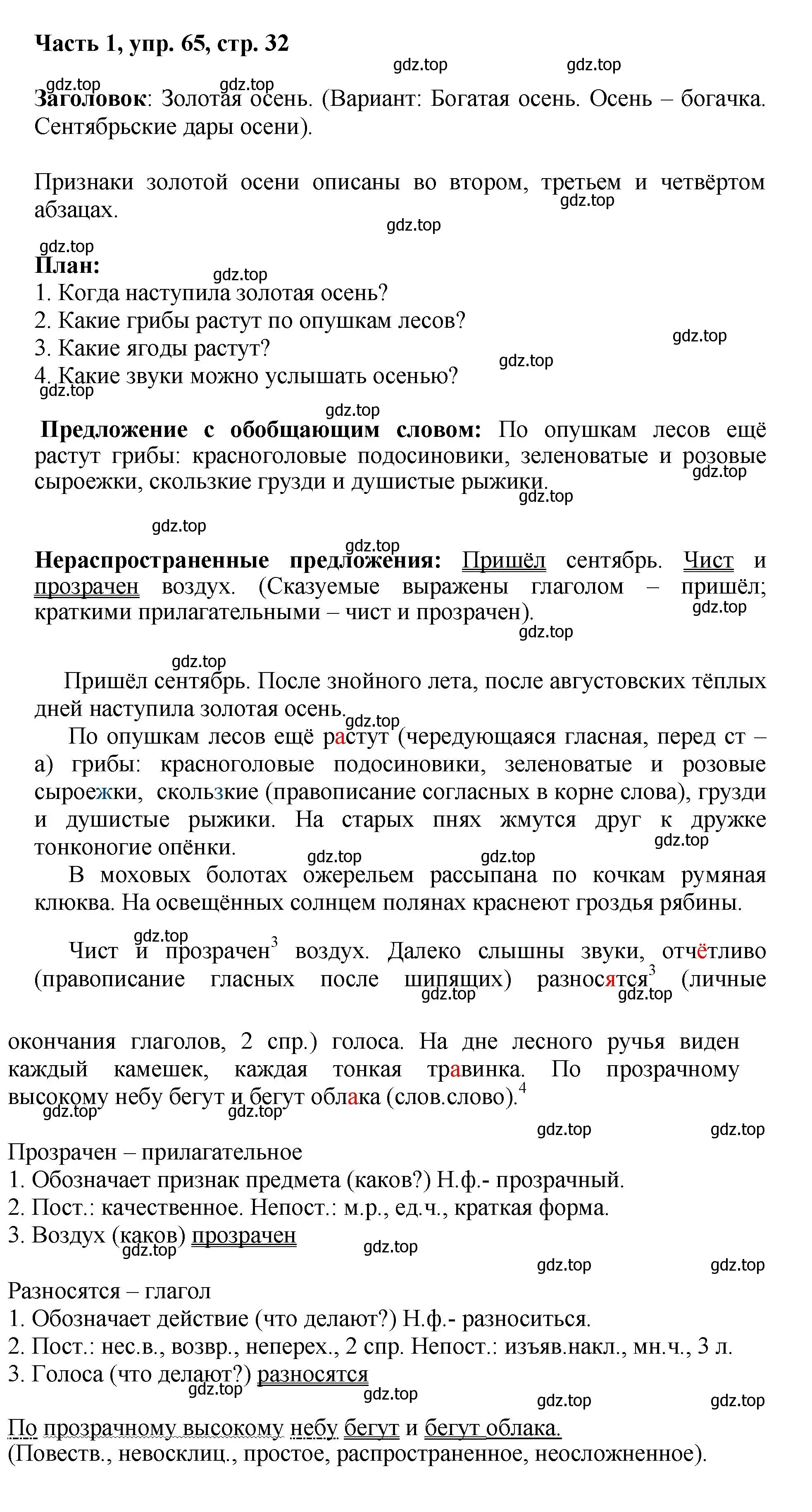 Решение номер 65 (страница 32) гдз по русскому языку 6 класс Баранов, Ладыженская, учебник 1 часть