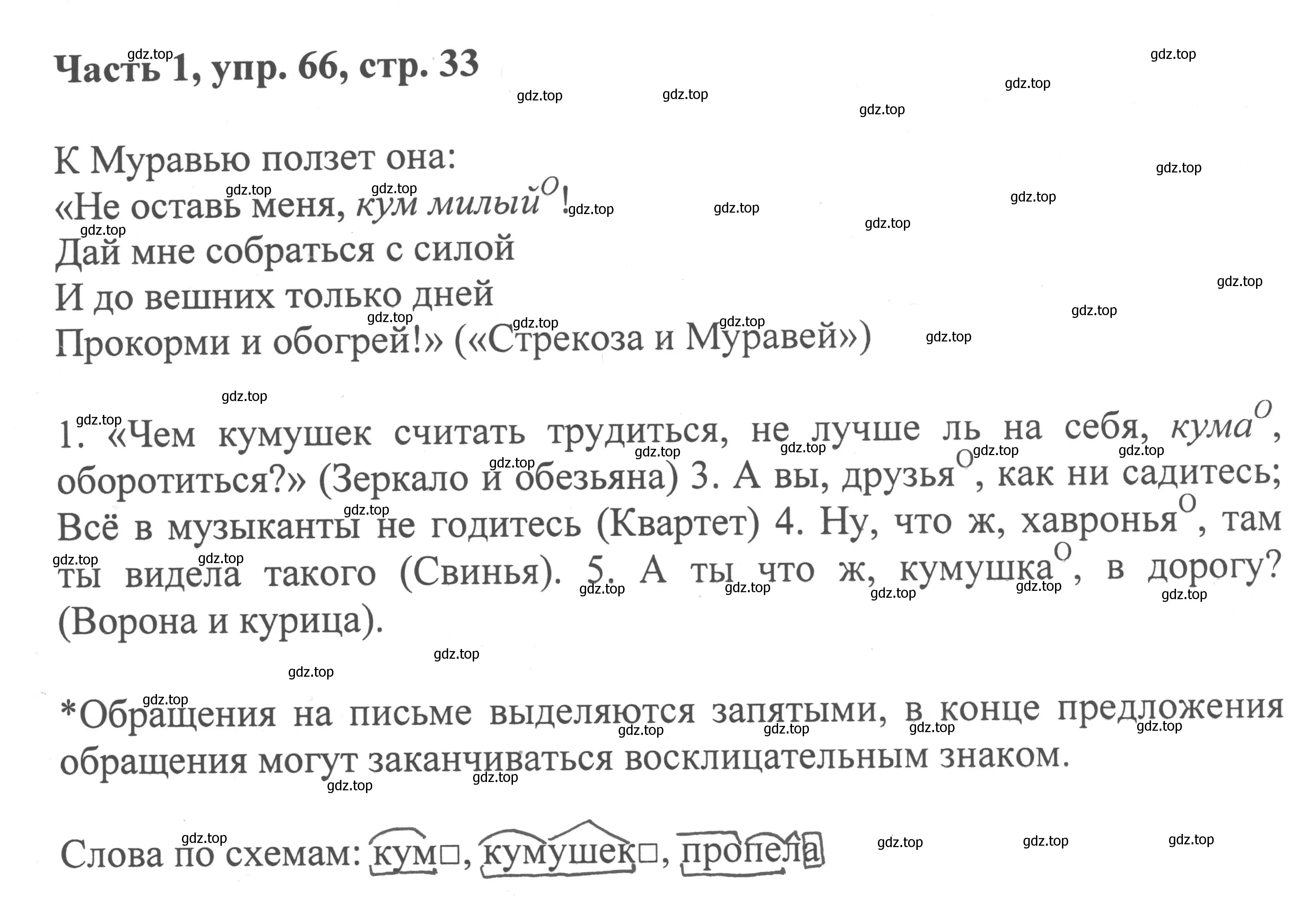 Решение номер 66 (страница 33) гдз по русскому языку 6 класс Баранов, Ладыженская, учебник 1 часть