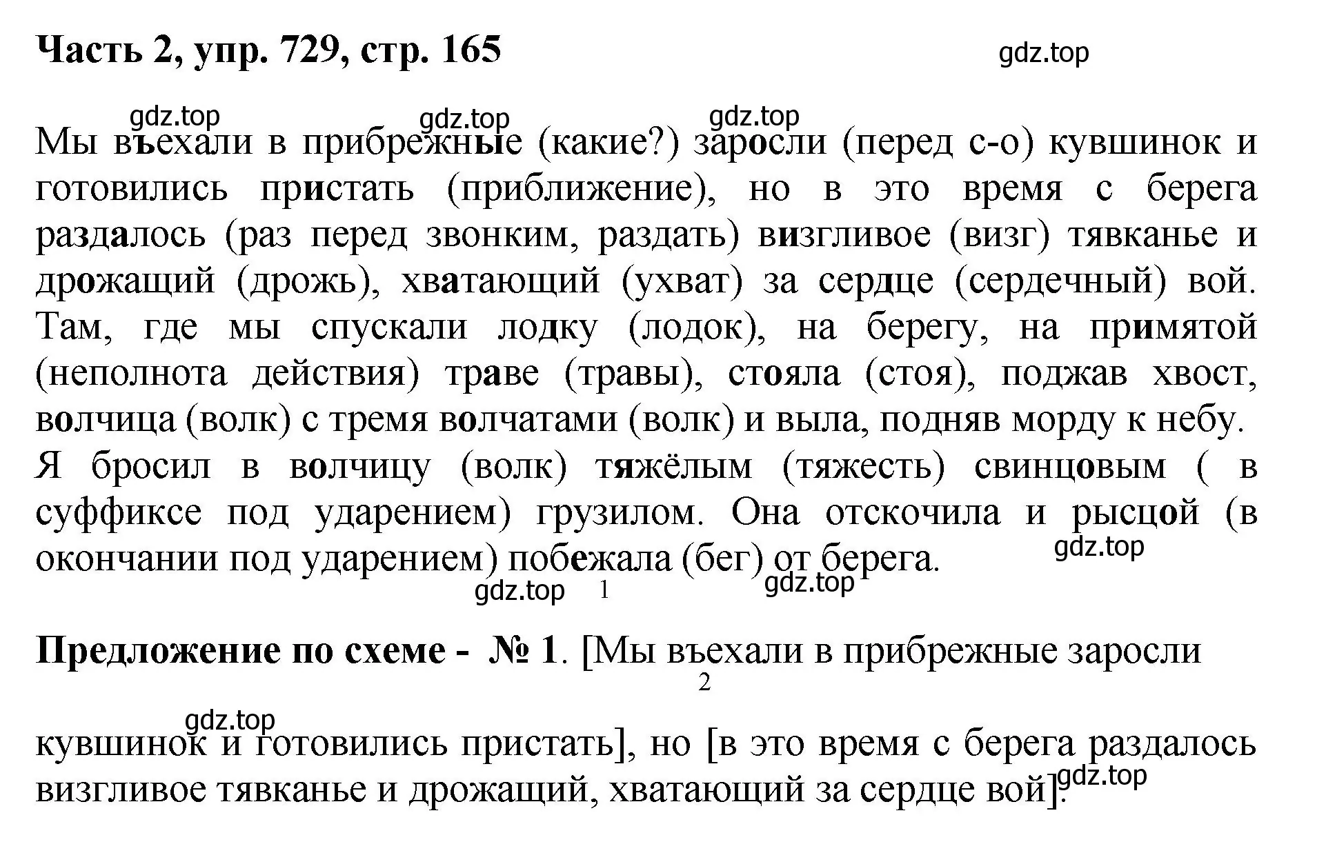 Решение номер 729 (страница 165) гдз по русскому языку 6 класс Баранов, Ладыженская, учебник 2 часть