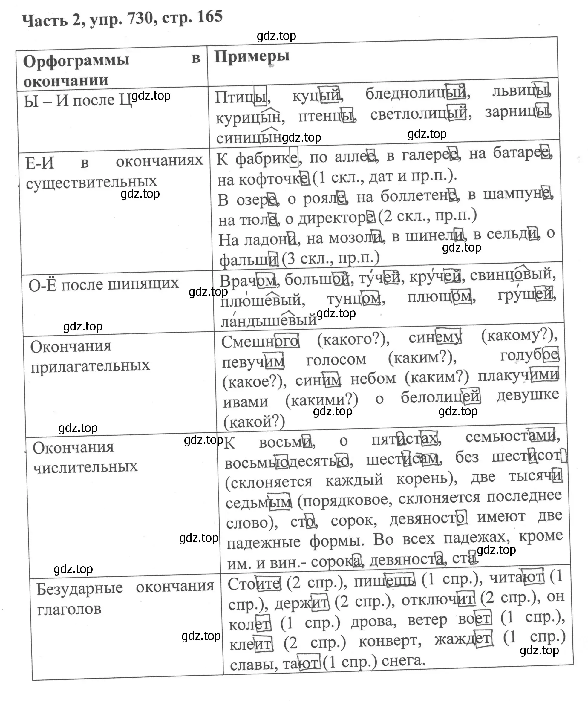 Решение номер 730 (страница 165) гдз по русскому языку 6 класс Баранов, Ладыженская, учебник 2 часть