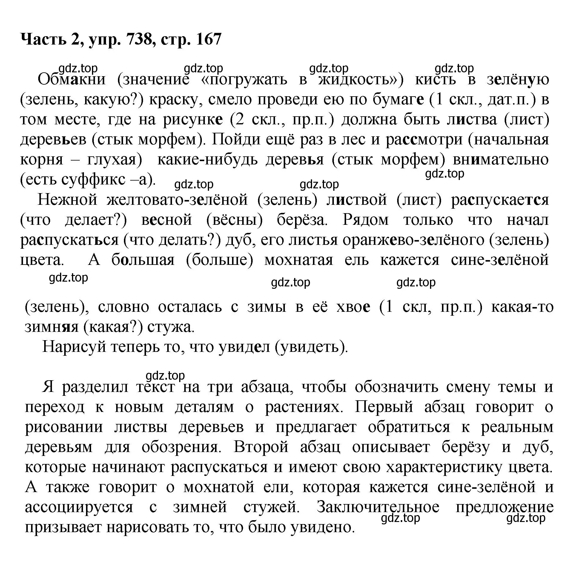 Решение номер 738 (страница 167) гдз по русскому языку 6 класс Баранов, Ладыженская, учебник 2 часть