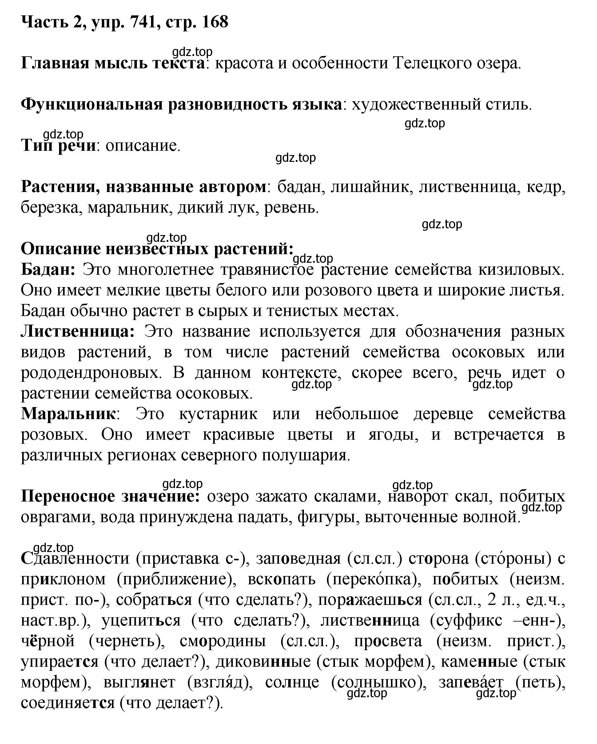 Решение номер 741 (страница 168) гдз по русскому языку 6 класс Баранов, Ладыженская, учебник 2 часть