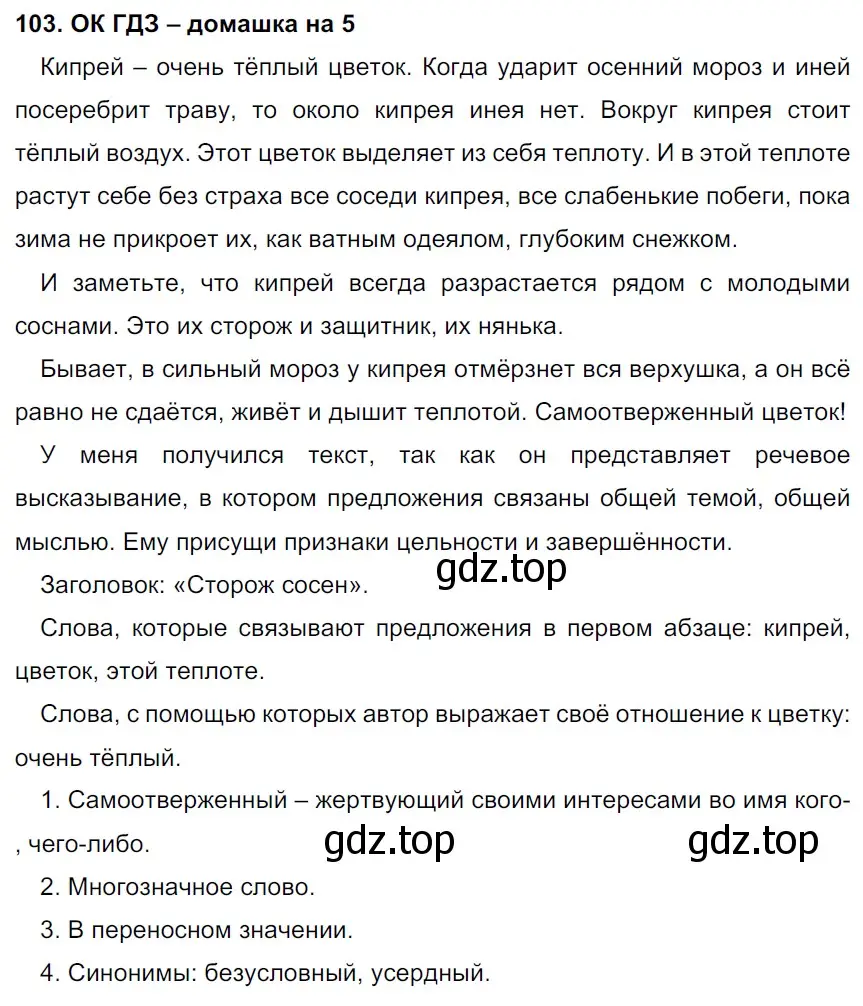 Решение 2. номер 103 (страница 53) гдз по русскому языку 6 класс Баранов, Ладыженская, учебник 1 часть