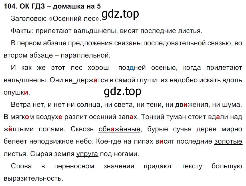 Решение 2. номер 104 (страница 54) гдз по русскому языку 6 класс Баранов, Ладыженская, учебник 1 часть