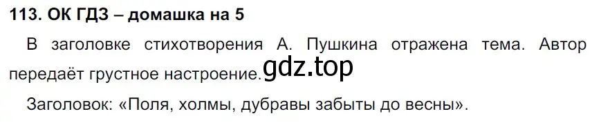 Решение 2. номер 113 (страница 58) гдз по русскому языку 6 класс Баранов, Ладыженская, учебник 1 часть