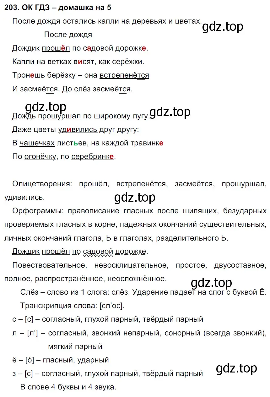 Решение 2. номер 203 (страница 107) гдз по русскому языку 6 класс Баранов, Ладыженская, учебник 1 часть