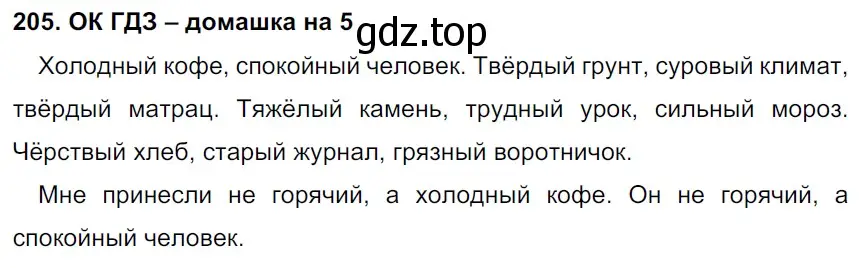 Решение 2. номер 205 (страница 107) гдз по русскому языку 6 класс Баранов, Ладыженская, учебник 1 часть