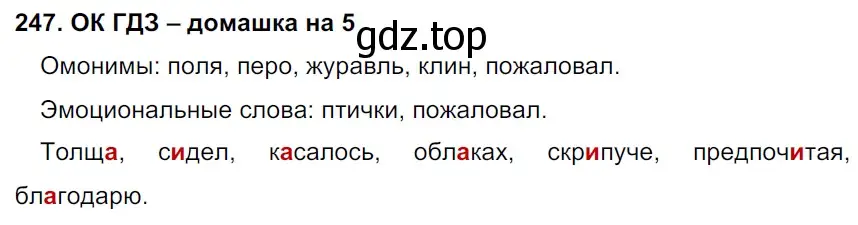 Решение 2. номер 247 (страница 126) гдз по русскому языку 6 класс Баранов, Ладыженская, учебник 1 часть