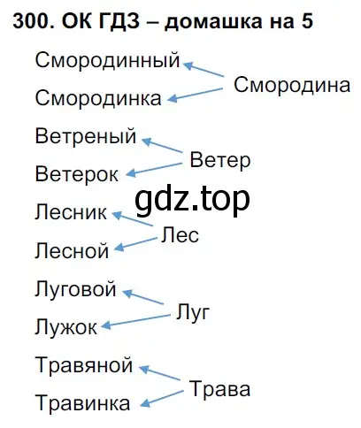 Решение 2. номер 300 (страница 157) гдз по русскому языку 6 класс Баранов, Ладыженская, учебник 1 часть