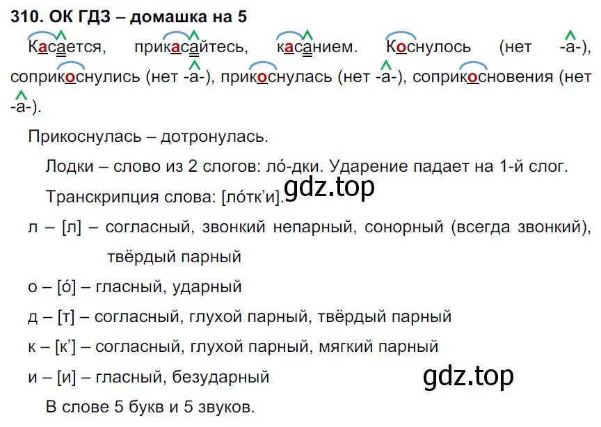 Решение 2. номер 310 (страница 162) гдз по русскому языку 6 класс Баранов, Ладыженская, учебник 1 часть