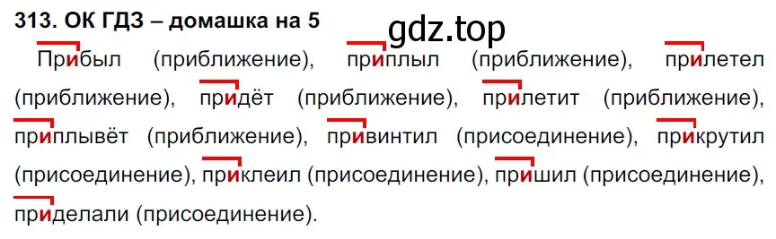 Решение 2. номер 313 (страница 164) гдз по русскому языку 6 класс Баранов, Ладыженская, учебник 1 часть