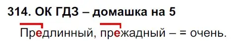 Решение 2. номер 314 (страница 164) гдз по русскому языку 6 класс Баранов, Ладыженская, учебник 1 часть