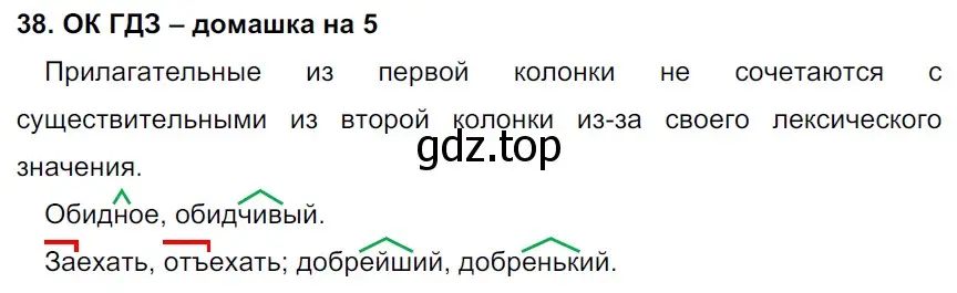 Решение 2. номер 38 (страница 19) гдз по русскому языку 6 класс Баранов, Ладыженская, учебник 1 часть