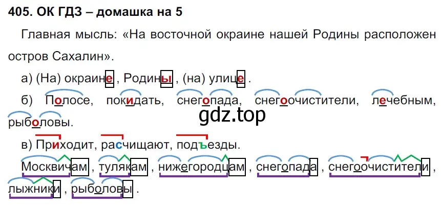 Решение 2. номер 405 (страница 203) гдз по русскому языку 6 класс Баранов, Ладыженская, учебник 1 часть