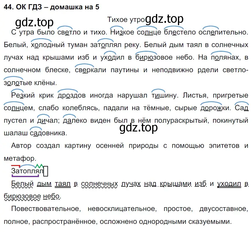 Решение 2. номер 44 (страница 21) гдз по русскому языку 6 класс Баранов, Ладыженская, учебник 1 часть