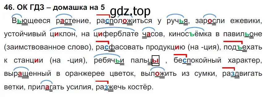 Решение 2. номер 46 (страница 21) гдз по русскому языку 6 класс Баранов, Ладыженская, учебник 1 часть