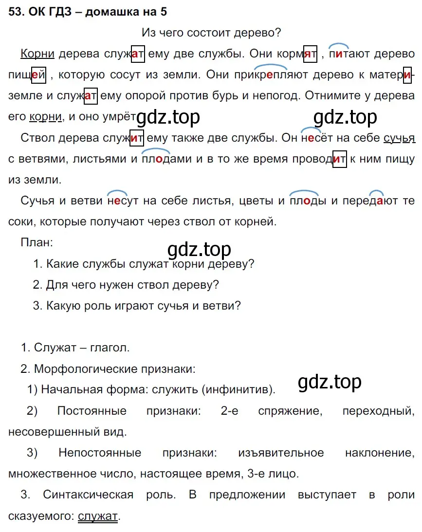 Решение 2. номер 53 (страница 26) гдз по русскому языку 6 класс Баранов, Ладыженская, учебник 1 часть