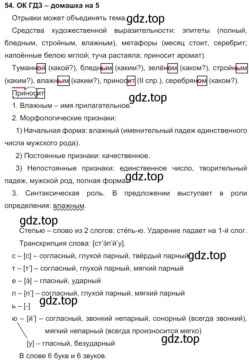 Решение 2. номер 54 (страница 27) гдз по русскому языку 6 класс Баранов, Ладыженская, учебник 1 часть