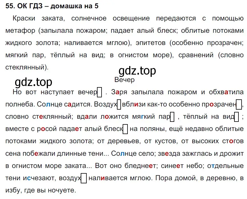 Решение 2. номер 55 (страница 28) гдз по русскому языку 6 класс Баранов, Ладыженская, учебник 1 часть