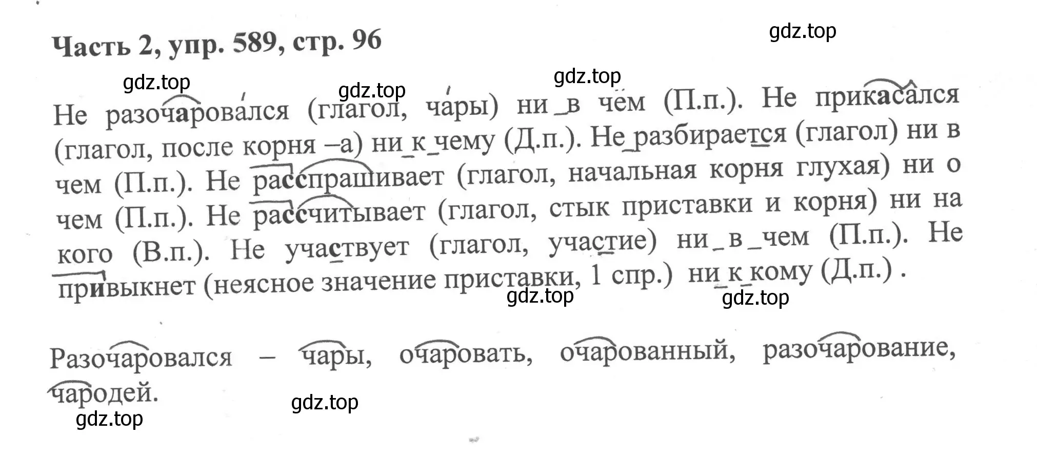 Решение 2. номер 589 (страница 96) гдз по русскому языку 6 класс Баранов, Ладыженская, учебник 2 часть