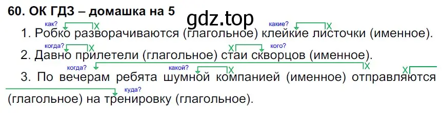 Решение 2. номер 60 (страница 30) гдз по русскому языку 6 класс Баранов, Ладыженская, учебник 1 часть