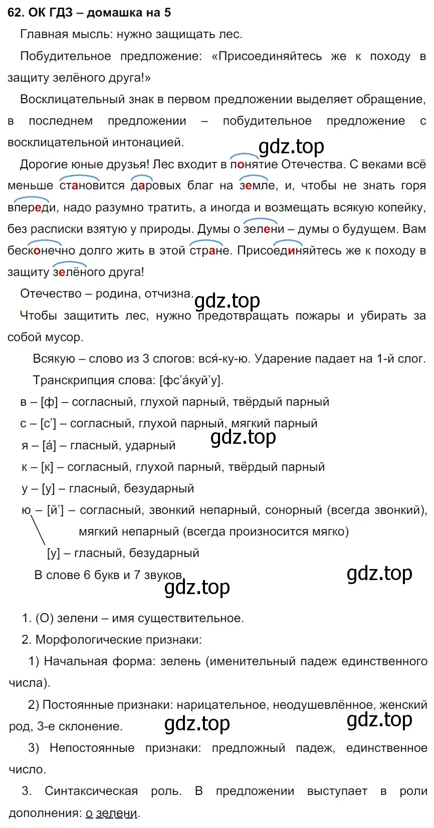 Решение 2. номер 62 (страница 31) гдз по русскому языку 6 класс Баранов, Ладыженская, учебник 1 часть