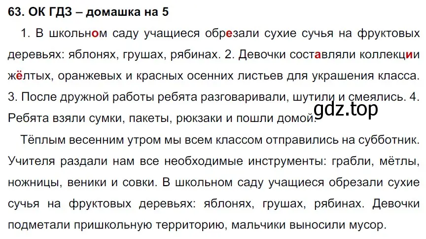 Решение 2. номер 63 (страница 31) гдз по русскому языку 6 класс Баранов, Ладыженская, учебник 1 часть