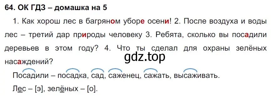 Решение 2. номер 64 (страница 32) гдз по русскому языку 6 класс Баранов, Ладыженская, учебник 1 часть