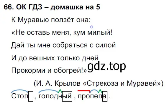 Решение 2. номер 66 (страница 33) гдз по русскому языку 6 класс Баранов, Ладыженская, учебник 1 часть