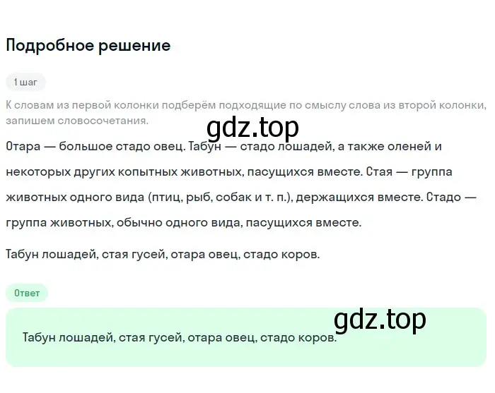 Решение 3. номер 12 (страница 8) гдз по русскому языку 6 класс Баранов, Ладыженская, учебник 1 часть