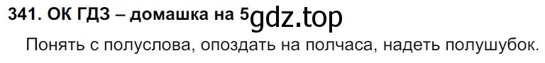 Решение 3. номер 341 (страница 175) гдз по русскому языку 6 класс Баранов, Ладыженская, учебник 1 часть