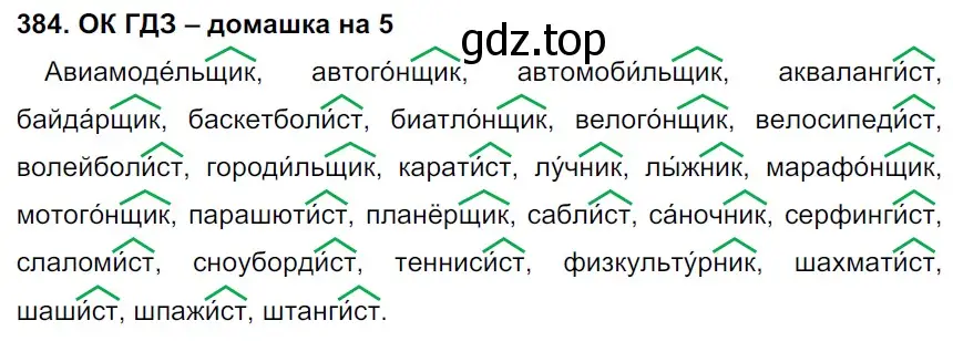 Решение 3. номер 384 (страница 193) гдз по русскому языку 6 класс Баранов, Ладыженская, учебник 1 часть