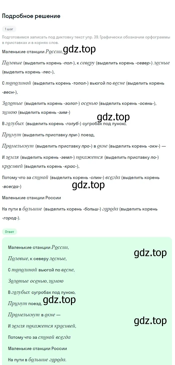 Решение 3. номер 41 (страница 20) гдз по русскому языку 6 класс Баранов, Ладыженская, учебник 1 часть