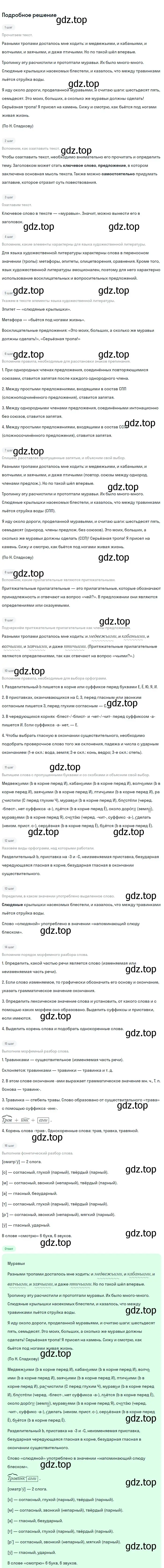 Решение 3. номер 452 (страница 27) гдз по русскому языку 6 класс Баранов, Ладыженская, учебник 2 часть