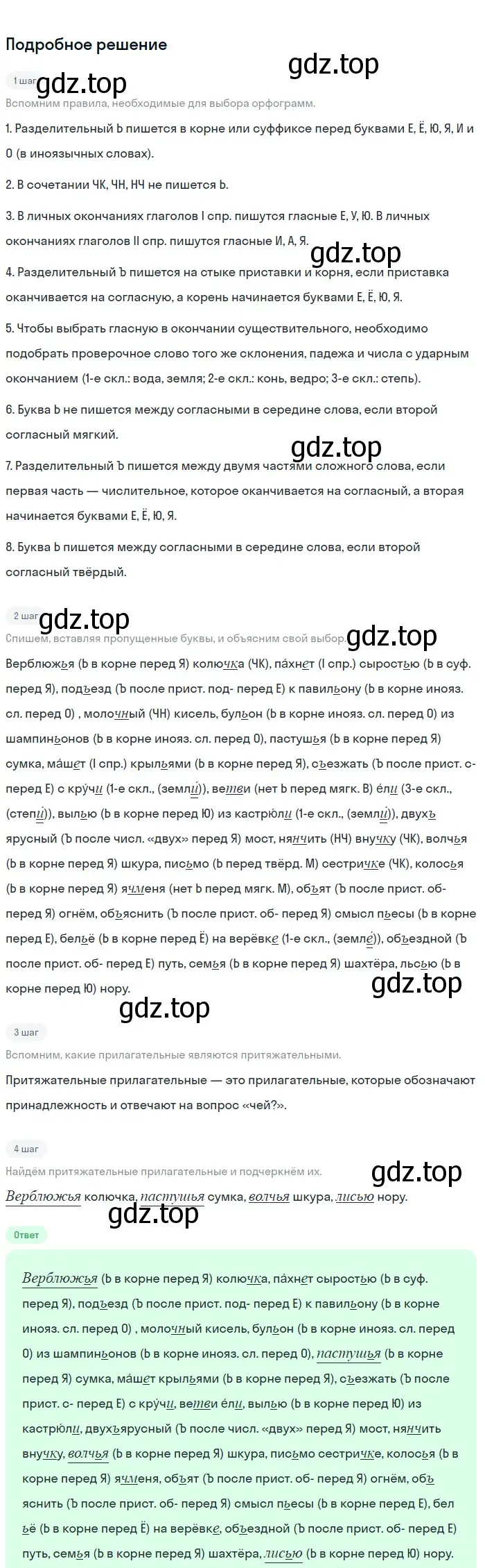 Решение 3. номер 454 (страница 28) гдз по русскому языку 6 класс Баранов, Ладыженская, учебник 2 часть