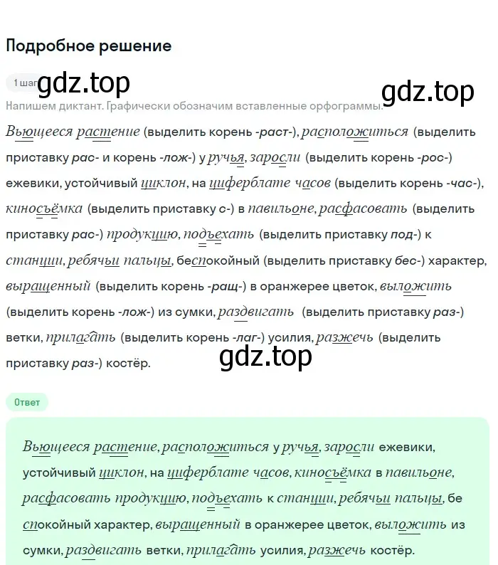 Решение 3. номер 46 (страница 21) гдз по русскому языку 6 класс Баранов, Ладыженская, учебник 1 часть