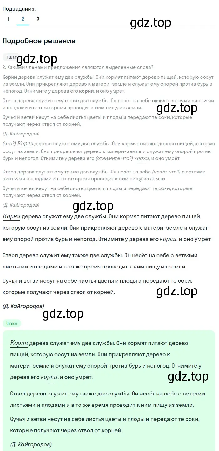 Решение 3. номер 53 (страница 26) гдз по русскому языку 6 класс Баранов, Ладыженская, учебник 1 часть