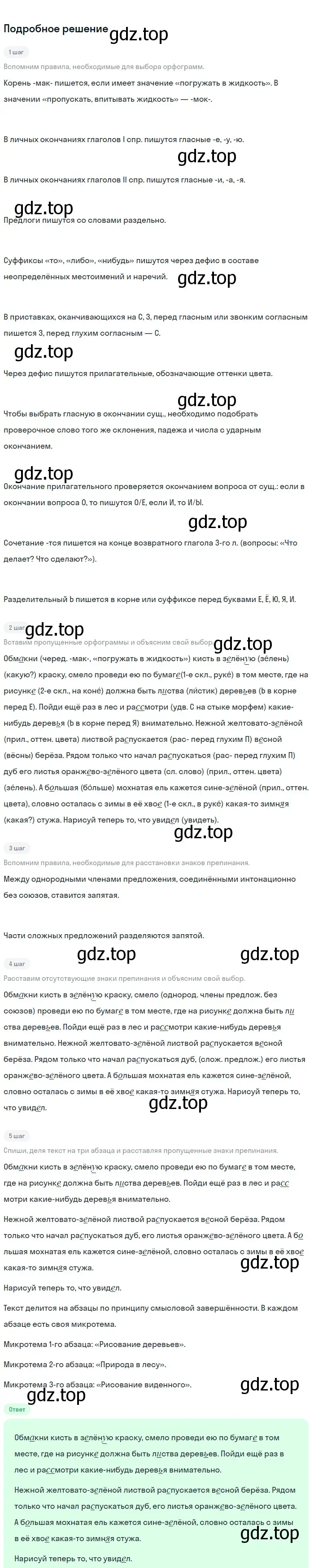 Решение 3. номер 738 (страница 167) гдз по русскому языку 6 класс Баранов, Ладыженская, учебник 2 часть