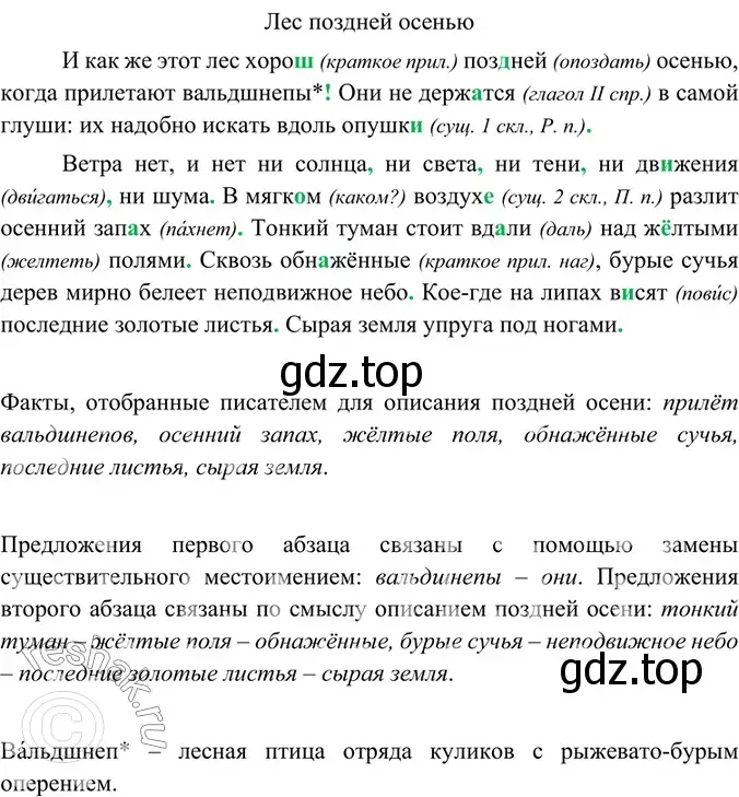 Решение 4. номер 104 (страница 54) гдз по русскому языку 6 класс Баранов, Ладыженская, учебник 1 часть