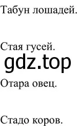 Решение 4. номер 12 (страница 8) гдз по русскому языку 6 класс Баранов, Ладыженская, учебник 1 часть