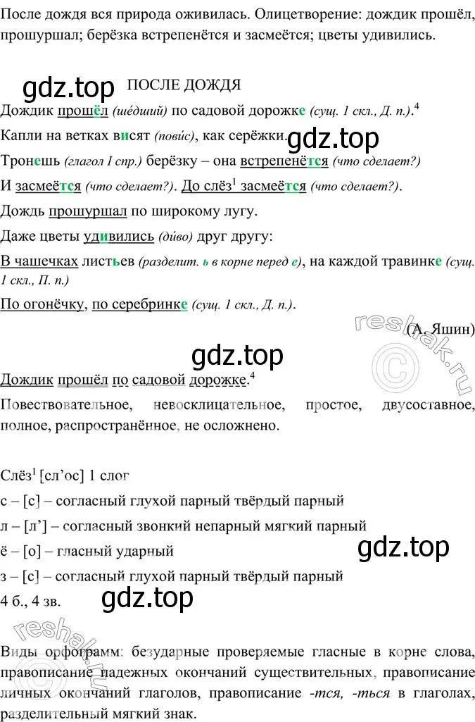 Решение 4. номер 203 (страница 107) гдз по русскому языку 6 класс Баранов, Ладыженская, учебник 1 часть