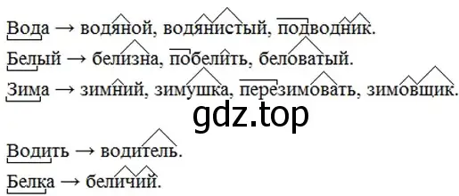 Решение 4. номер 293 (страница 153) гдз по русскому языку 6 класс Баранов, Ладыженская, учебник 1 часть