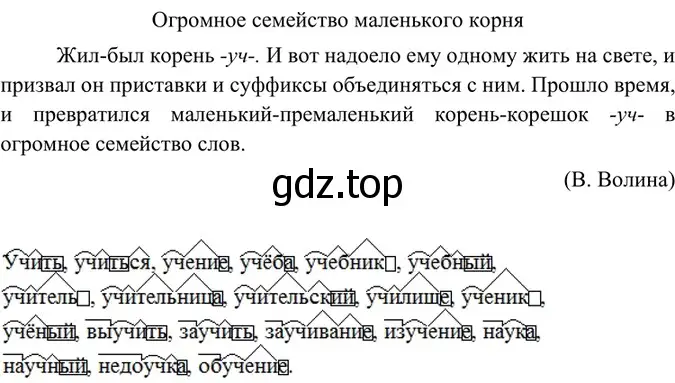 Решение 4. номер 295 (страница 153) гдз по русскому языку 6 класс Баранов, Ладыженская, учебник 1 часть